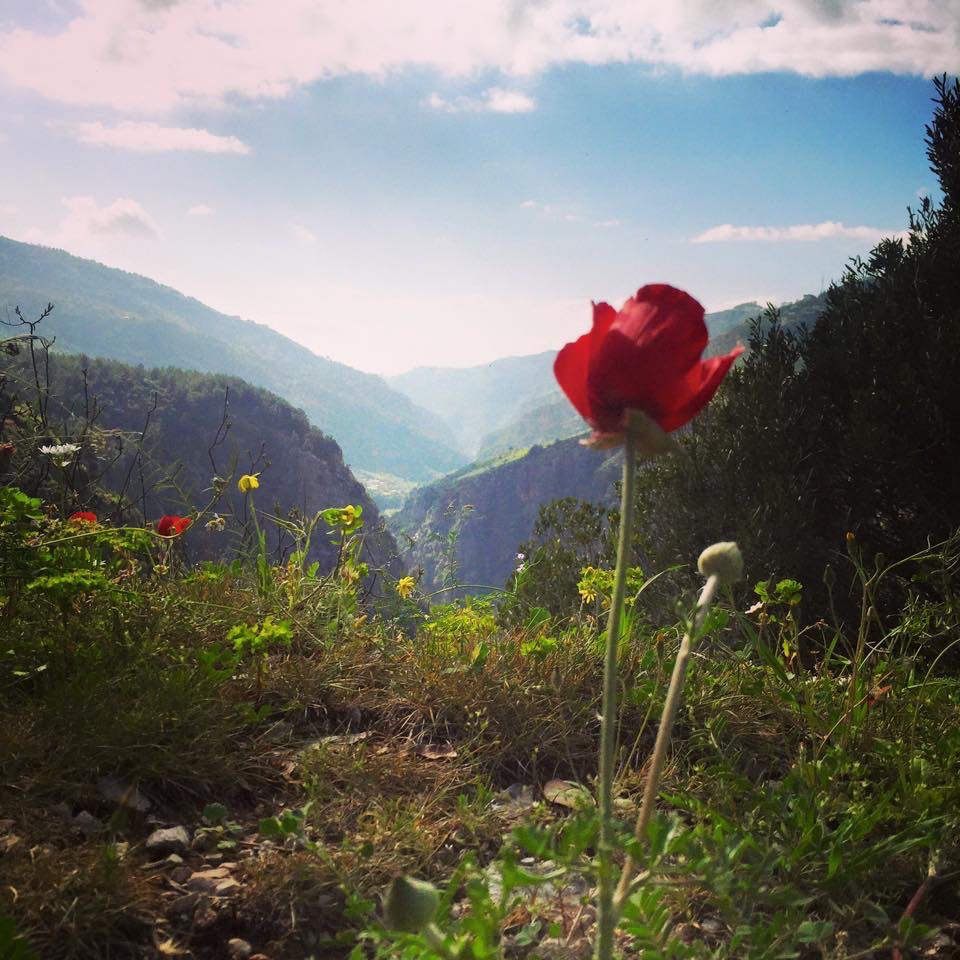Lebanon-Reforestation-Beauty-Shot-of-River-of-Abraham-Valley