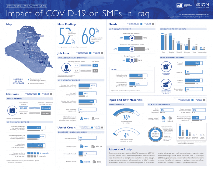 Impact of COVID on SMEs in Iraq IOM