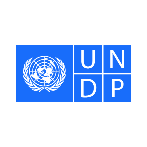 UNDP-100